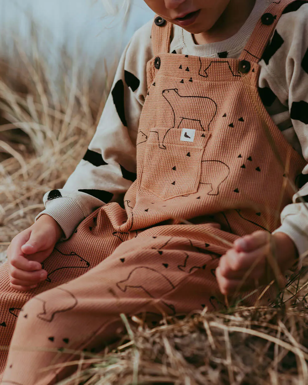 Bear Silhouette Dungarees