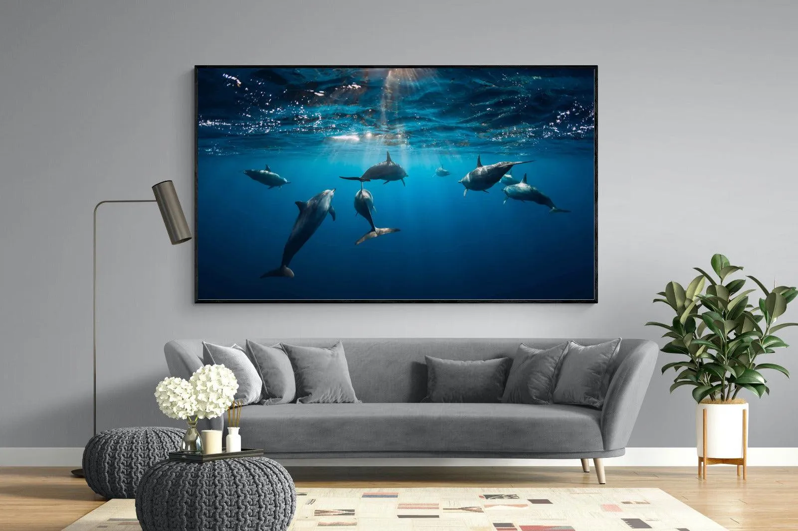 Dolphins