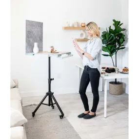 Replica Studio - Your mobile photoshoot stand on wheels (with Free Shipping)